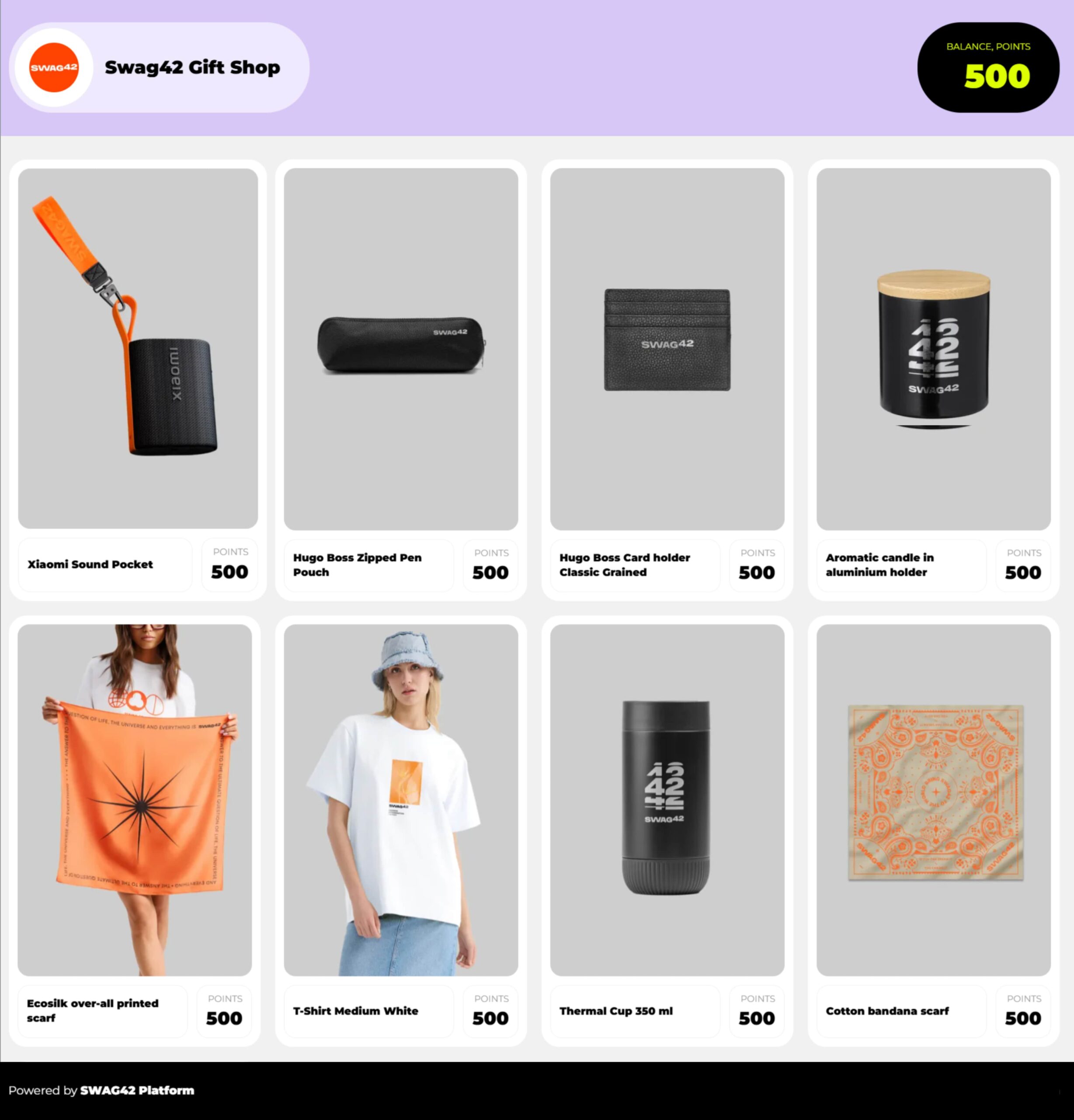 Swag42 customer swag shop with custom branded merchandise