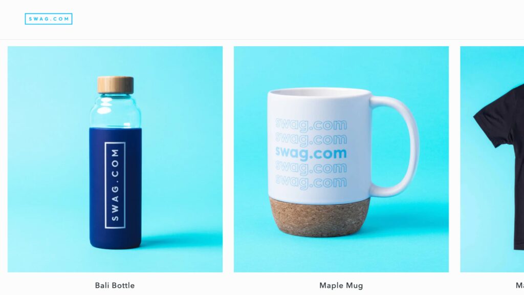 Swag.com platform interface