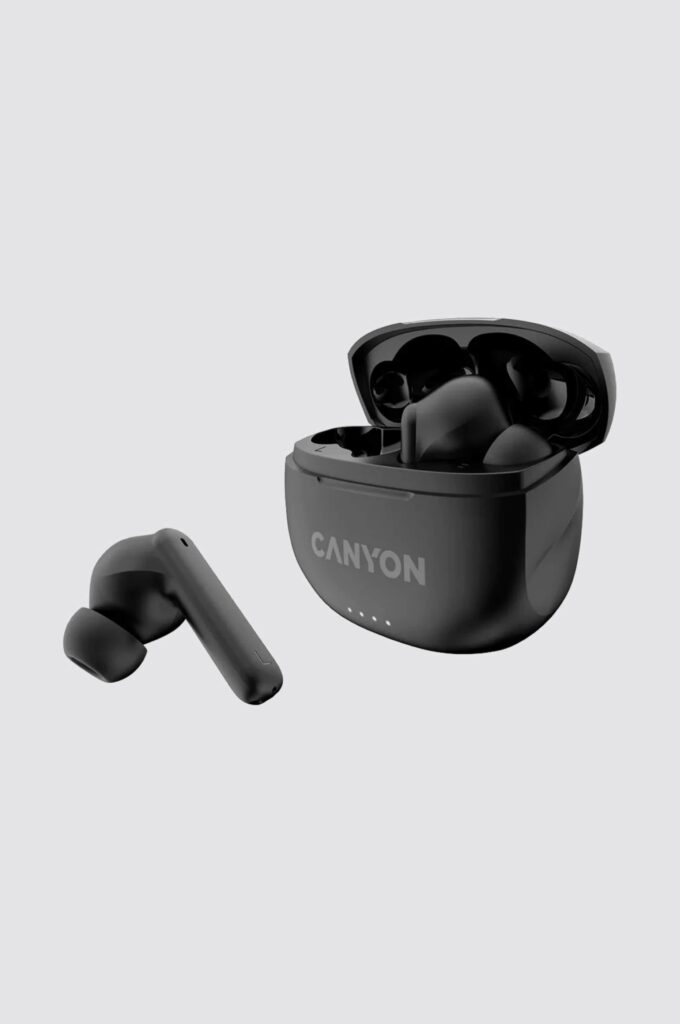 Earplugs